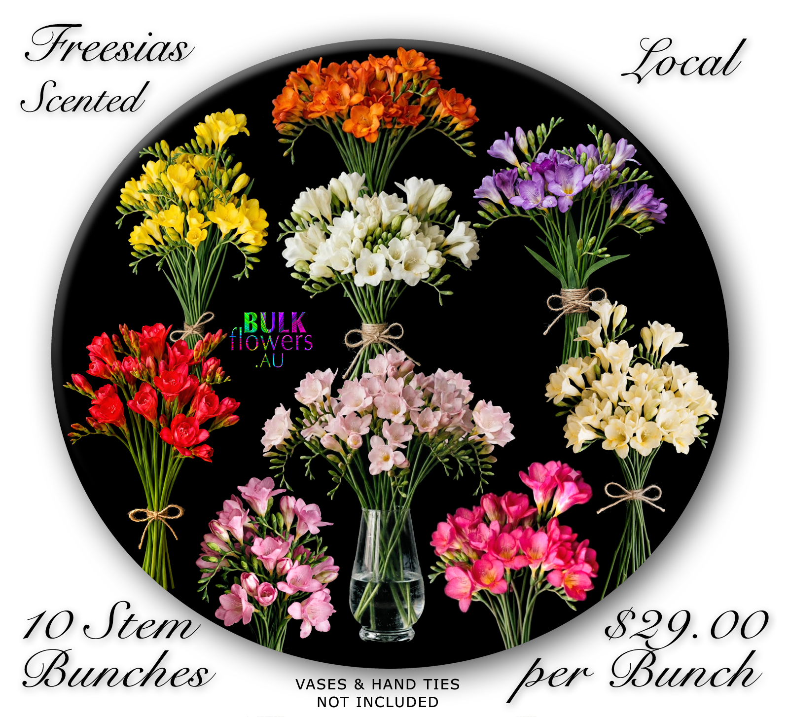 BULK FREESIAS